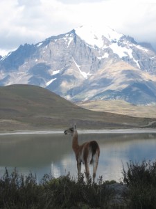 Chile Torres del Pain              